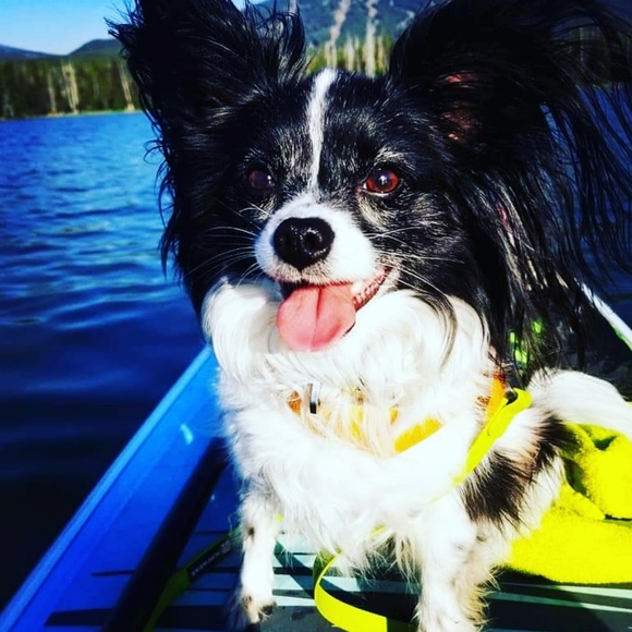 Meet your Posher, Jamie - Picture 10 of 12